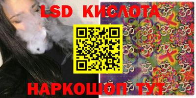 прущие грибы Анапа