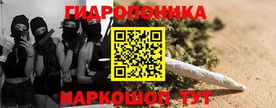 прущие грибы Анапа