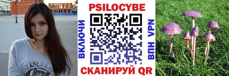 Псилоцибиновые грибы Psilocybe Светлоград