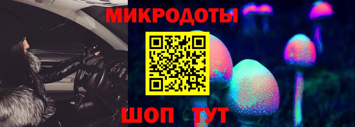 Светлоград  Галлюциногенные грибы Psilocybe  Вход с VPN 